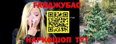 твердый Шелехов