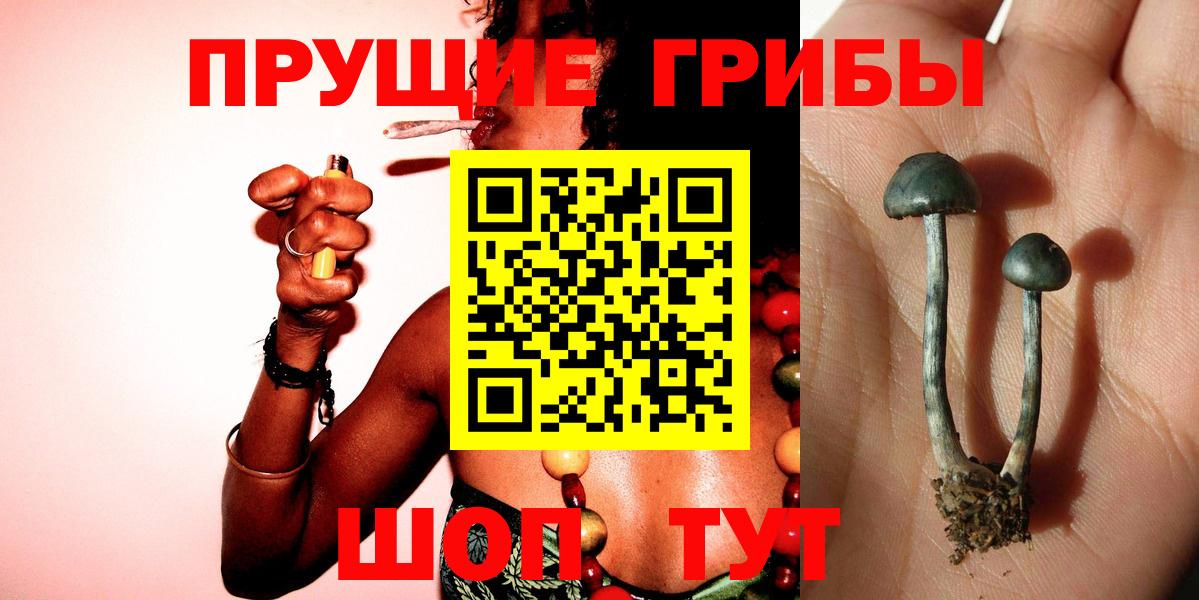 Галлюциногенные грибы ЛСД Каменка