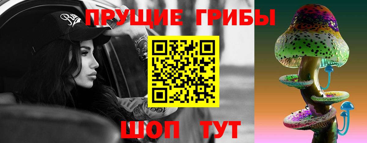 Псилоцибиновые грибы Magic Shrooms  Вход с VPN  Каменка 
